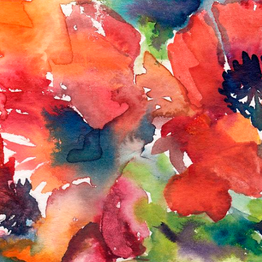 Poppies