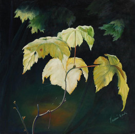 Leaves.jpeg