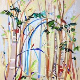 Rainbow Wood