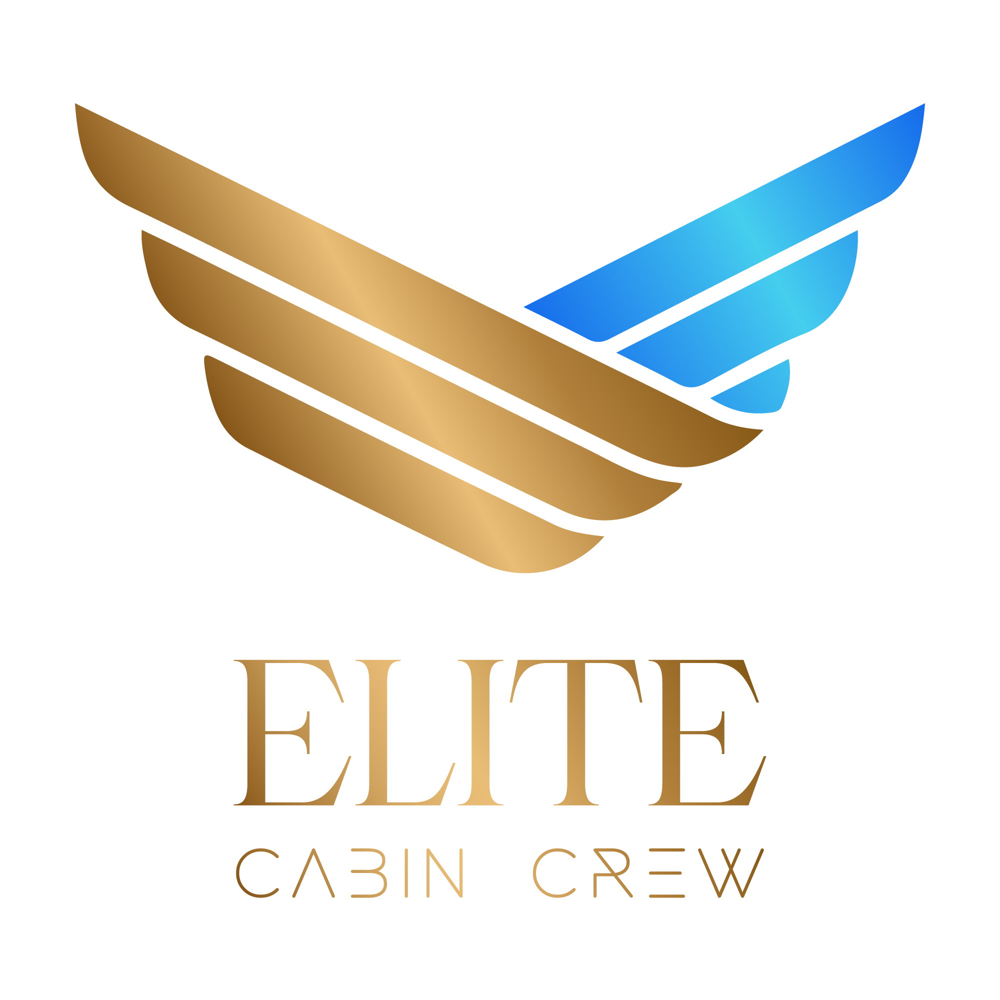 Writer: Elite Cabin Crew
