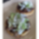 2 Sopes