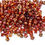 Thumbnail: DB1781  Miyuki Delica Beads White Lined Root Beer