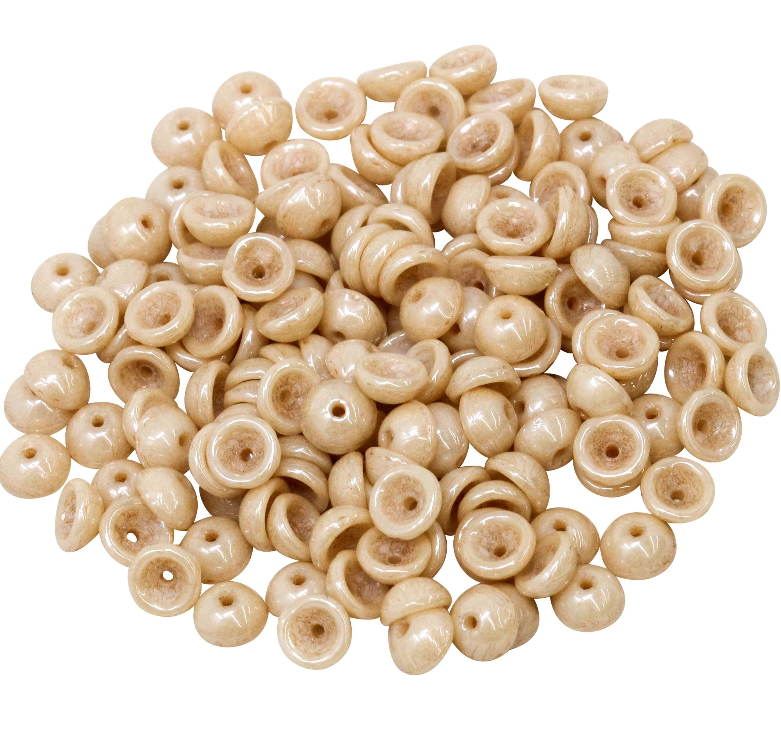 TC-240 Teacup Luster Opaque Champagne