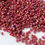 Thumbnail: S15-2639F Size 15/0 Japanese Seed Semi Glazed DK Red AB