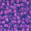 Thumbnail: R06-739E  Size 6/0 Japanese Seed Bead  Blue Colorlined Purple