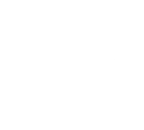 Hexactvision logo transparent.png