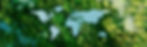 iStock-1342229191_edited.jpg