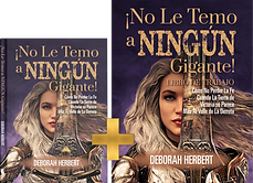 Book Covers (5)_edited.png