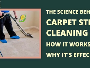 Choosing the Right Carpet Cleaning Service for Your Business