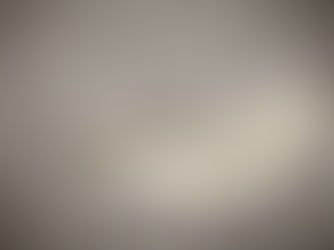 How to Deal with Carpet Wear and Tear: Repair or Replace?