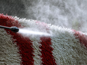 Is It Better to Dry Clean or Steam Clean Carpet?