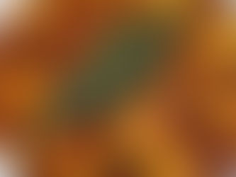 ניוקי ברוטב עגבניות משגע😋