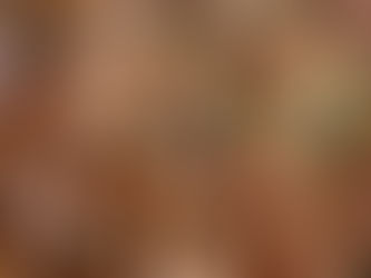 תבשיל בשר בקר בשילוב פטריות שינטאקי