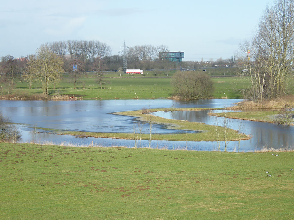 De Reest met hoog water