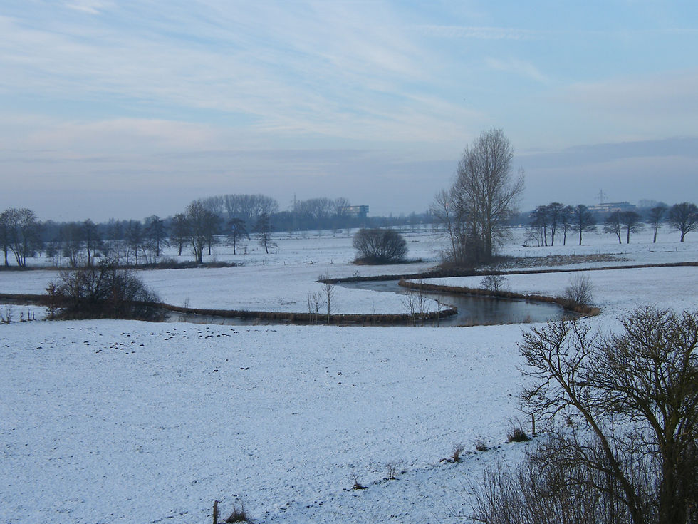 De Reest in de winter