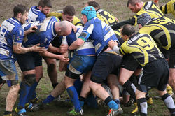 12919780_10153960535313805_847702012283321496_n[1]