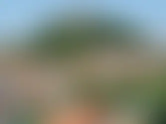 Empresa de Home Staging em Leiria: 7 Estratégias Inteligentes Para Fazer o Seu Imóvel Brilhar no Mercado 