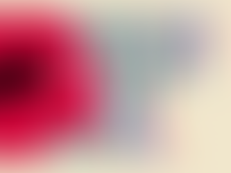 🎗 25 novembre — Journée internationale pour l’élimination de la violence à l’égard des femmes