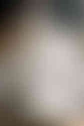 Family-style dinner setup with crisp linens, modern glassware, and seasonal flowers