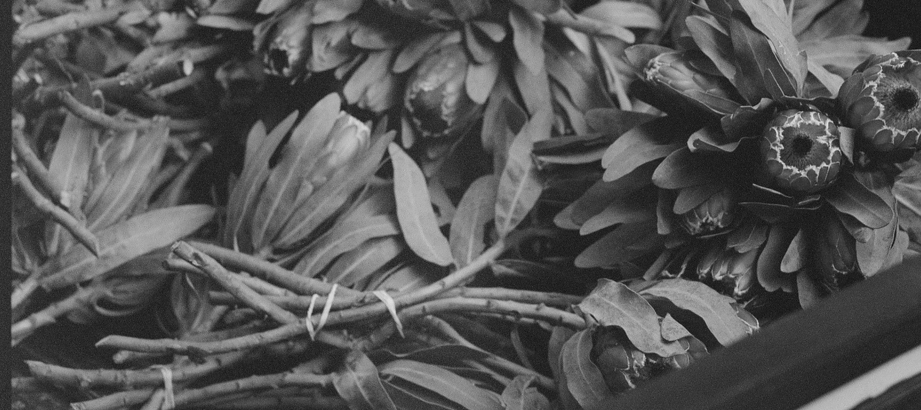 Untitled (1280 x 720 px).png