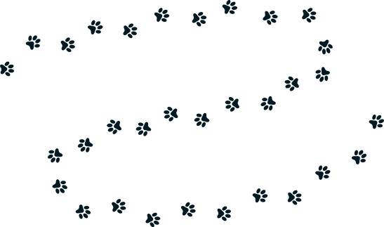 Paw-trail_4x.png