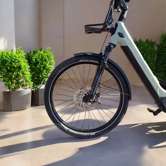 Das Winora Yakun R5 Pro in pistachio gloss