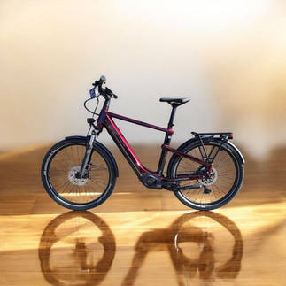 Das WINORA Yakun X10E in Darkred