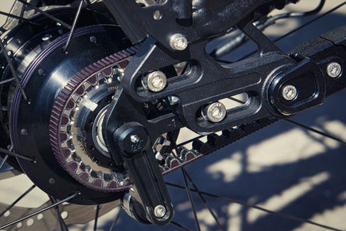 Nahaufnahme der Rohloff SPEEDHUB E14 mit Riemenantrieb, Bremsscheibe und Speichen am Hinterrad des Nicolai EBOXX GT1.