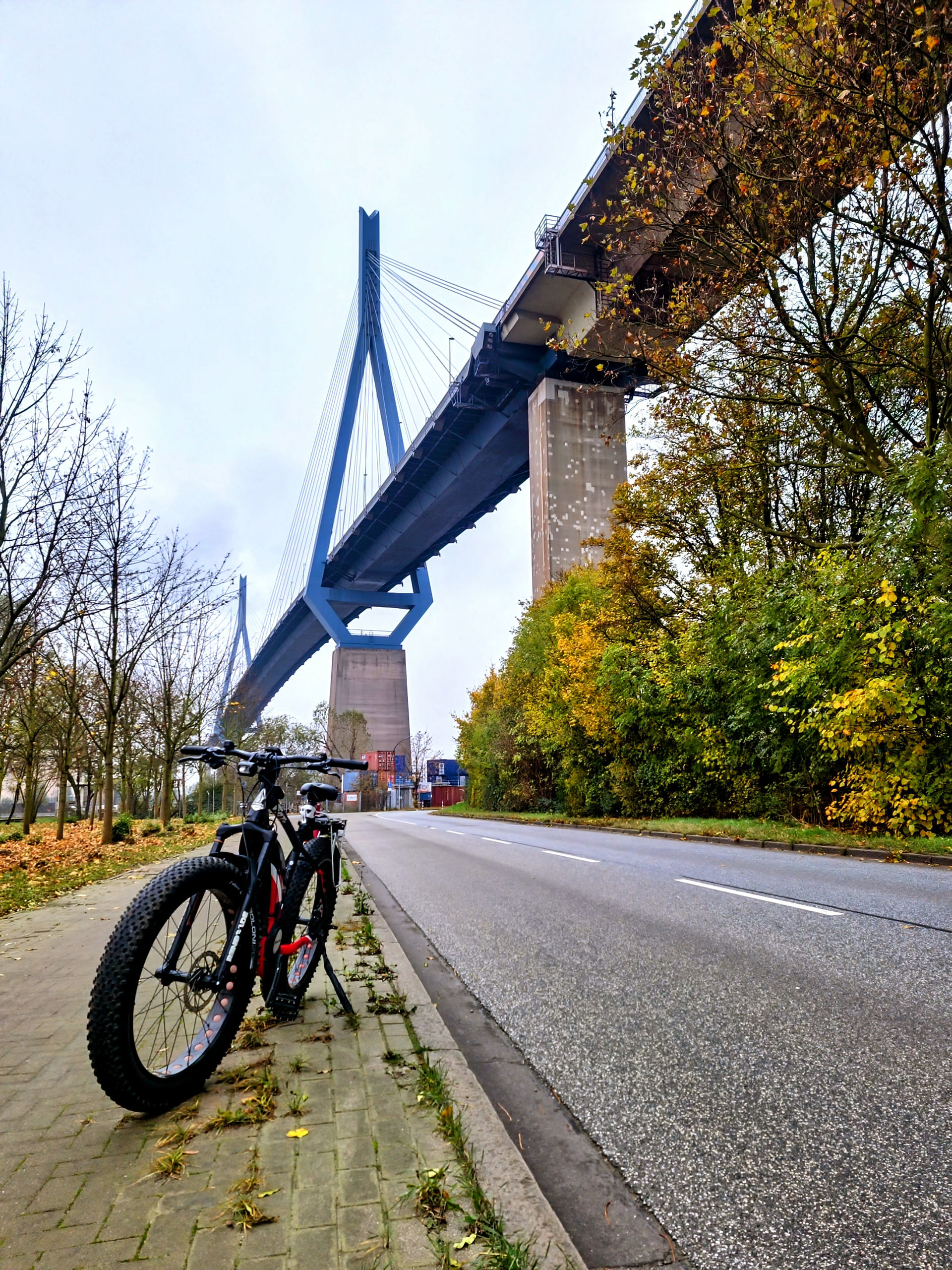 Köhlbrandbrücke Hamburg im Herbst mit Fahrrädern im Vordergrund, buntem Laub und Containern unter der Brücke – Szene zwischen Natur und Hafeninfrastruktur.