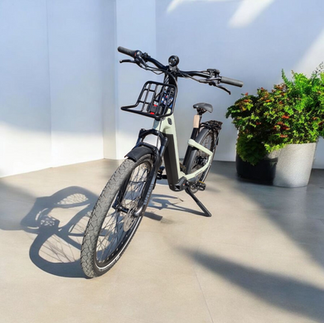 Das Winora Yakun R5 Pro in pistachio gloss