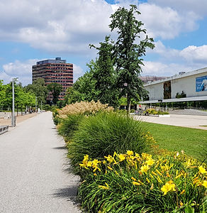Fahrradtour Hamburg Wilhelmsburg Tour:  Blick vom Inselpark 