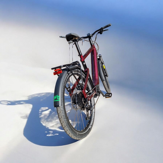 Das WINORA Yakun X10E in Darkred