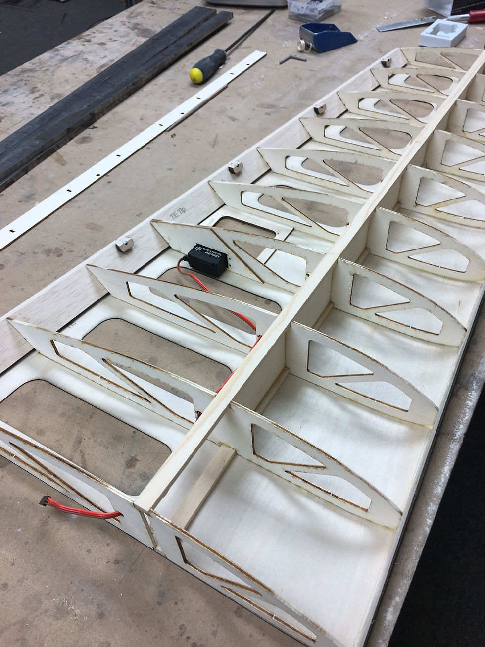 Thumbnail: 1:3 Scale L-19 Bird Dog