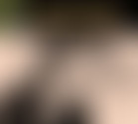 A découvrir ou redécouvrir… MANCINI