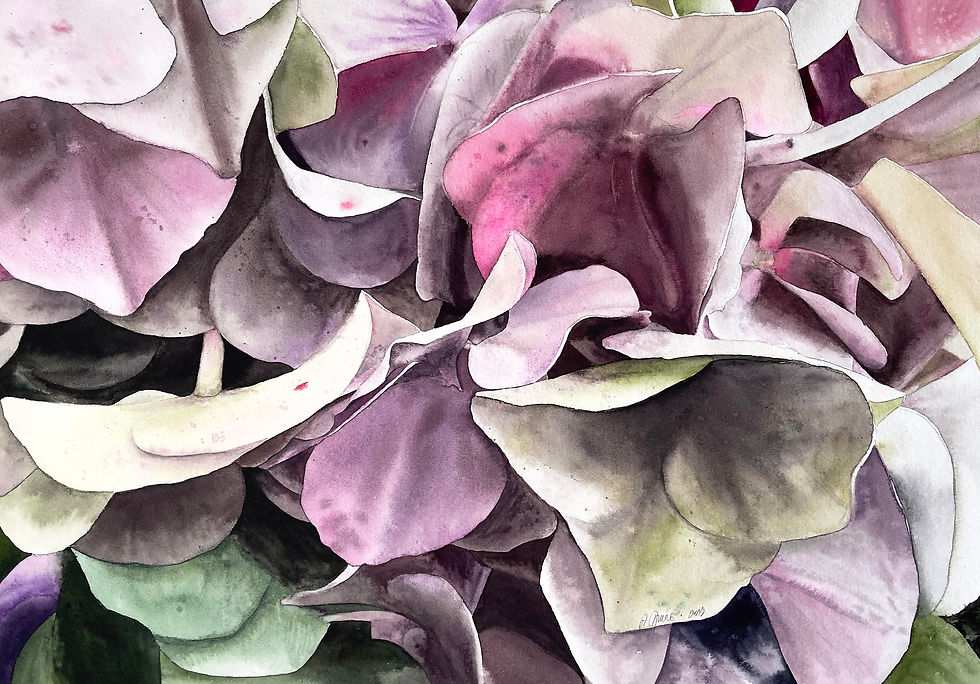 Hydrangea Bouquet From Keukenhof | Watercolor | GERMANY