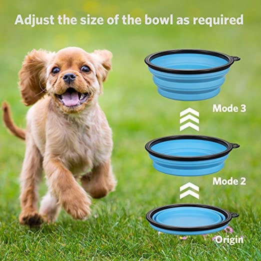 Thumbnail: Collapsable Pet Bowl