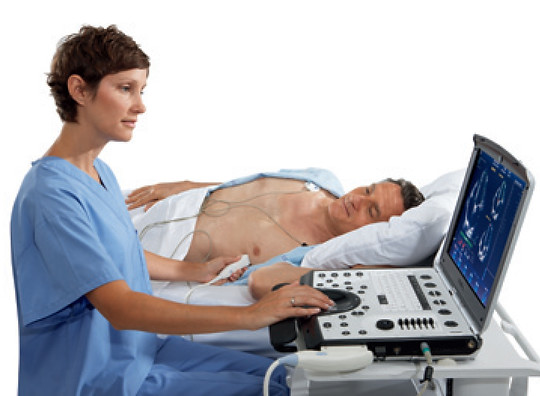 Vivid-q-Cardiovascular-Ultrasound.jpg