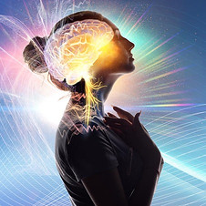 brain connection the reiki warrior rochele tillman