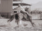 IMG_9767.jpeg