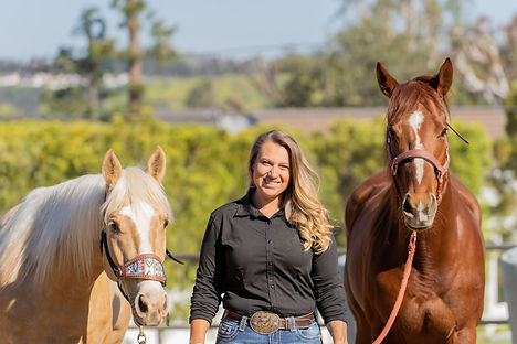palomino horse and sorrel horse