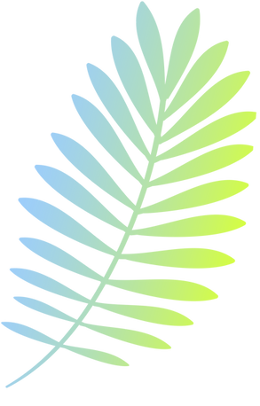 Colorful Branch