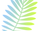 Rose 2