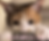 スクリーンショット 2025-05-20 10.55.32.png