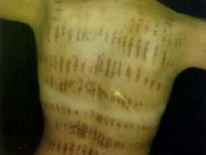 ニセ美容外科医の跋扈を許すな!―医師法違反を明確にする