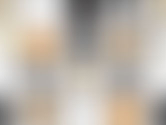 猫の毛色や目の色、体のタイプについて