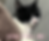 スクリーンショット 2025-04-28 23.35.53.png