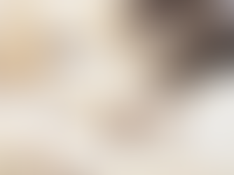 猫の肉球について