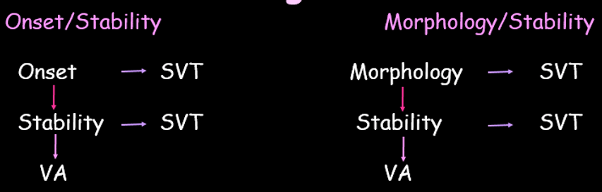bsc sr.png