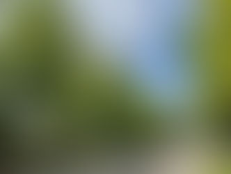 母校へ