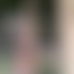 写真を見つけました。